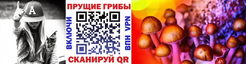 купить закладку  Волжский  Галлюциногенные грибы Psilocybine cubensis 